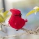 Piros - Mini hamis madár mesterséges tollal rögzíthető madár esküvői dekoráció helyszín dísz