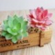 4 * - Szimuláció Mini műanyag miniatűr pozsgás növények Kert Home Office Decor UK