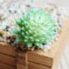 9 * - Mesterséges pozsgás növények kertje miniatűr hamis kaktusz otthoni virág dekoráció barkácsolás