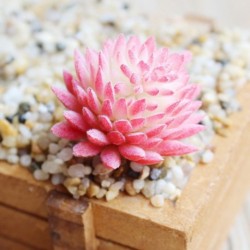 8 * - Mesterséges pozsgás növények kertje miniatűr hamis kaktusz otthoni virág dekoráció barkácsolás