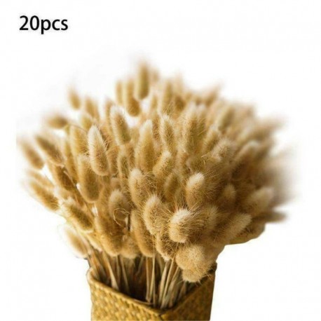 Nincs szín - 20db / tétel Naturals szárított pampák füves nád házi esküvői dekoráció fényképészeti kellékek