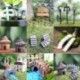 5db Mini fa kerítés - Figura miniatűr kézműves növény cserepes tündér babaház dekor kerti dísz DIY CA