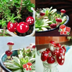 20db vörös hab gomba - Figura miniatűr kézműves növény cserepes tündér babaház dekor kerti dísz DIY CA