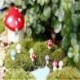 Nincs szín - 20x Gombás Tündérkert Miniatúrák Tartozékok Gyanta-Kézműves Mikro Táj USA