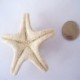 Nincs szín - 2db természetes tengeri csillag tengeri csillag kagyló akvárium táj dekoráció készítés DIY kézműves
