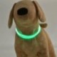 Zöld - USB LED újratölthető kisállat kutya nyakörv villogó világító biztonsági öv vízálló UK