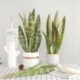 1db-8levelek - Mesterséges növények otthoni kert dekorációhoz Sansevieria ág hamis virágok műanyag levelek bonsai zöld
