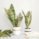 1db-8levelek - Mesterséges növények otthoni kert dekorációhoz Sansevieria ág hamis virágok műanyag levelek bonsai zöld