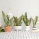 1db-8levelek - Mesterséges növények otthoni kert dekorációhoz Sansevieria ág hamis virágok műanyag levelek bonsai zöld