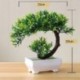 Szín: yunsong zöld - Több stílusú 1 db mesterséges növény Bonsai kis fa cserepes növények Bonsai növény díszek