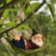 Szín: L Swing Frog - Kreatív Aranyos Békák Macska Kutya Gyanta fekvő Mikulás szobor Beltéri kültéri Dekoráció Dísz