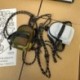 Szín: szürke - Mini hátizsák nylon medál csomag táska divatos férfi mellkas táska férfi heveder Crossbody táska