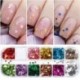 Szín: CX - 12 rácsos Sugar Körömpor Glitter Piment Holografikus Dekoráció Pulóver Hópelyhek DIY Téli Nail Art Design
