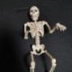 Teljes-test__-mini-csontv__z-K__s__rteties-m__anyag-csontv__z-Yard-Garden-Lawn-Haunted-N84C