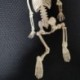Teljes-test__-mini-csontv__z-K__s__rteties-m__anyag-csontv__z-Yard-Garden-Lawn-Haunted-N84C
