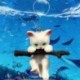 Fish-Floating-Cat-Figurines-D__sz-DIY-mesters__ges-akv__rium-Fish-Play-sz__m__ra-N84C