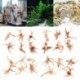V__logatott-k__zm__ves-mesters__gek-szimul__ci__-b__v__helyek-Driftwood-barlang-FishTank-tereprendez__s-h__sv__ti-garn__lar__k