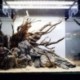 V__logatott-k__zm__ves-mesters__gek-szimul__ci__s-b__v__helyek-Driftwood-barlang-FishTank-tereprendez__s-h__sv__ti-garn__lar__k