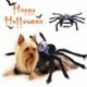 L---Kutya-jelmez-Kis__llat-Halloween-P__k-Jelmez-Cosplay-Party-jelmez-Macska-Vicces-ruh__k-N84C