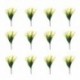 UV-__ll__-Calla-mesters__ges-m__vir__g-m__anyag-vir__g-belt__ri-v__z__hoz-N84C