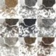 Sz__n_-aranyozott---150-1000db-2_3_4mm-Charm-Krist__ly-Kerek-Gy__ngy__k-T__vtart__-Gy__ngy__k-Cseh-__vegmag-Gy__ngy__k-Ausztria